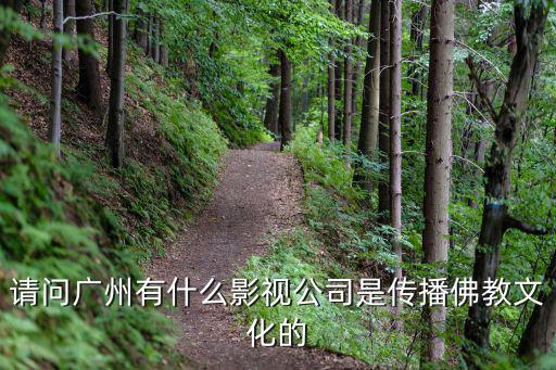 請(qǐng)問(wèn)廣州有什么影視公司是傳播佛教文化的