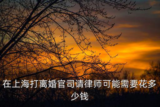 在上海打離婚官司請律師可能需要花多少錢