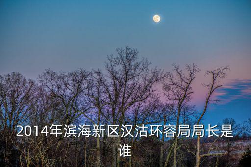 2014年濱海新區漢沽環容局局長是誰