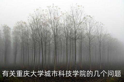 有關重慶大學城市科技學院的幾個問題
