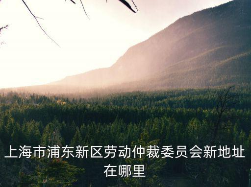 上海市浦東新區勞動仲裁委員會新地址在哪里