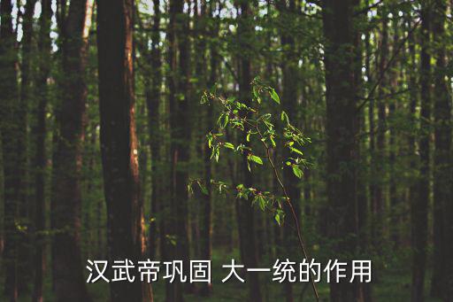  漢武帝鞏固 大一統的作用