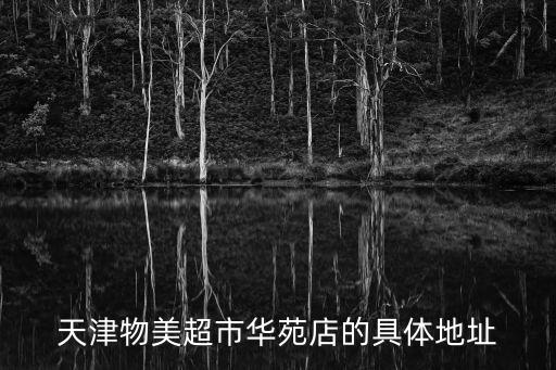 天津物美超市華苑店的具體地址
