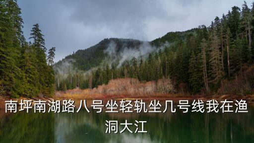 重慶市棋院2021年規(guī)劃，南坪南湖路八號(hào)坐輕軌坐幾號(hào)線我在漁洞大江