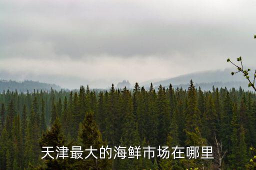 天津市水產(chǎn)街28號，天津最大的海鮮市場在哪里