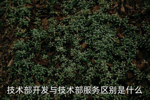 技術部開發(fā)與技術部服務區(qū)別是什么