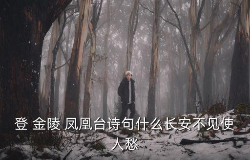 登 金陵 鳳凰臺(tái)詩(shī)句什么長(zhǎng)安不見使人愁