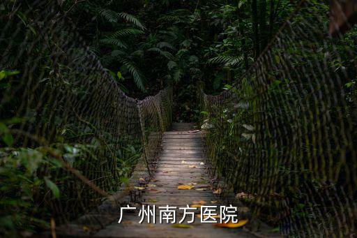 廣州南方醫院