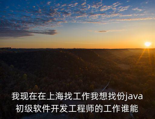 上海市軟件工程師招工，我現在在上海找工作我想找份java初級軟件開發工程師的工作誰能