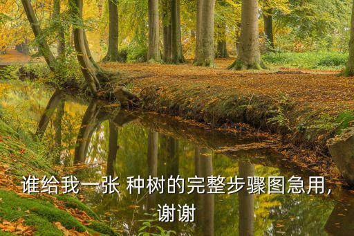 種樹的步驟,三埋兩步一苗種樹技術:先澆水再種樹