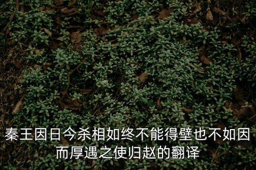 不如因而厚遇之，秦王因日今殺相如終不能得壁也不如因而厚遇之使歸趙的翻譯