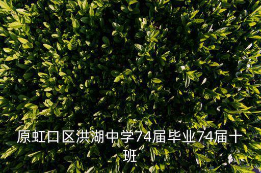 原虹口區(qū)洪湖中學(xué)74屆畢業(yè)74屆十班
