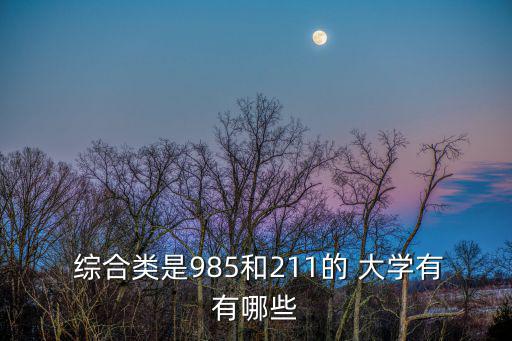  綜合類是985和211的 大學(xué)有有哪些
