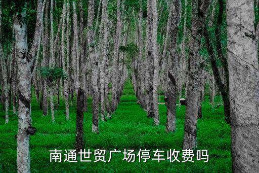 上海市世貿(mào)廣場(chǎng)停車收費(fèi)，南通世貿(mào)廣場(chǎng)停車收費(fèi)嗎