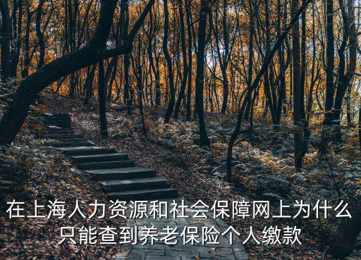 上海市社保明細單照片，上海社保中心可以幫人拉社保清單嗎