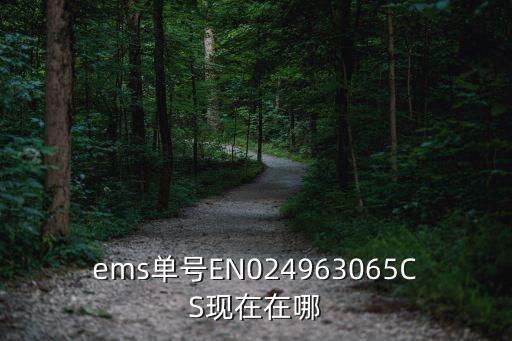 ems單號EN024963065CS現在在哪