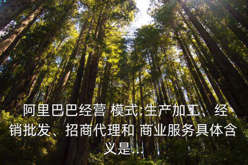  阿里巴巴經營 模式:生產加工、經銷批發、招商代理和 商業服務具體含義是...