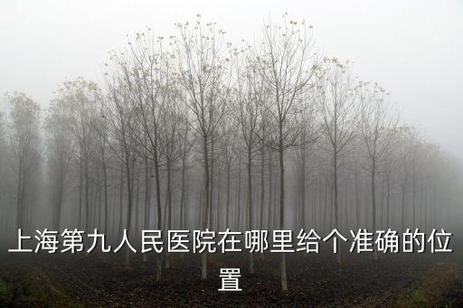 上海第九人民醫院在哪里給個準確的位置