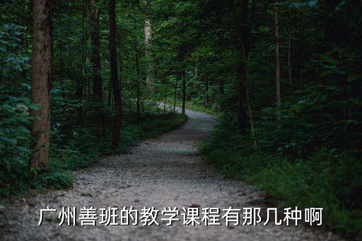 廣州善班的教學(xué)課程有那幾種啊