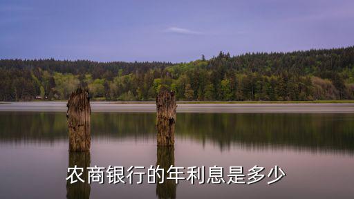農(nóng)商銀行的年利息是多少