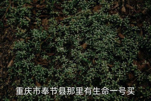 重慶市奉節縣哪里能買靶向藥，重慶市奉節縣那里有生命一號買