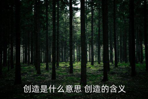  創(chuàng)造是什么意思 創(chuàng)造的含義