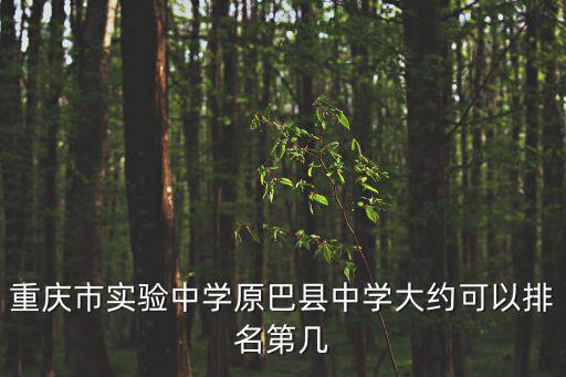 重慶市實驗中學原巴縣中學大約可以排名第幾