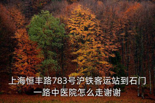 上海恒豐路783號滬鐵客運站到石門一路中醫院怎么走謝謝