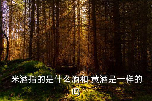 黃酒是米酒嗎,你好!糯米酒是黃酒中的一種