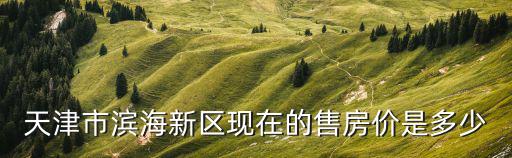 天津市濱海新區(qū)現(xiàn)在的售房價是多少