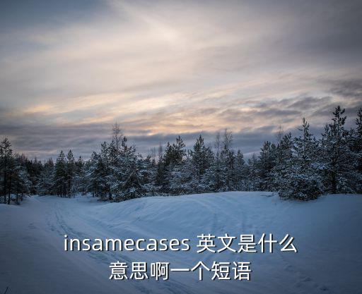 insamecases 英文是什么意思啊一個短語
