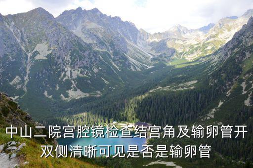 中山二院宮腔鏡檢查結(jié)宮角及輸卵管開雙側(cè)清晰可見是否是輸卵管