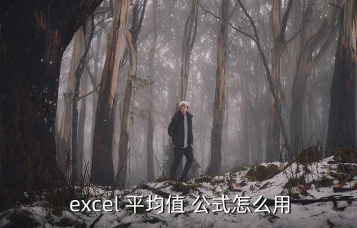  excel 平均值 公式怎么用