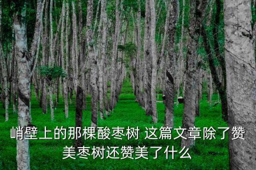 石崖上的棗樹，峭壁上的那棵酸棗樹 這篇文章除了贊美棗樹還贊美了什么