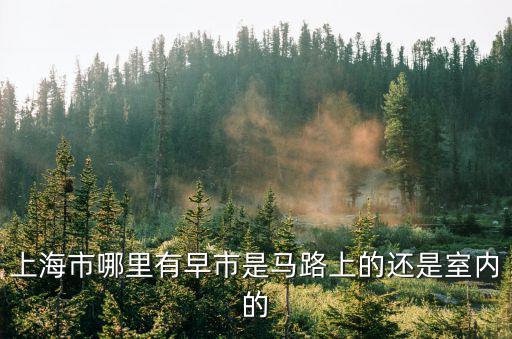上海市哪里有早市是馬路上的還是室內的