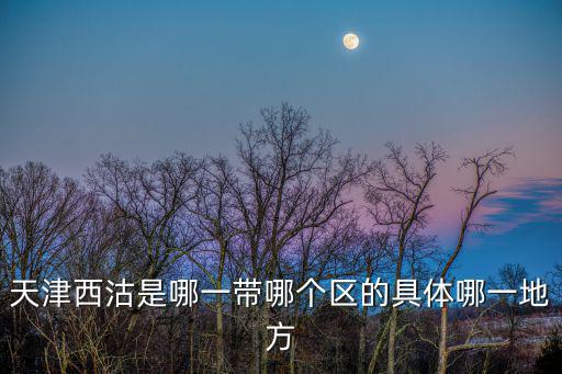 天津市西沽民俗體驗區，天津市紅橋區西沽房管站地址在哪