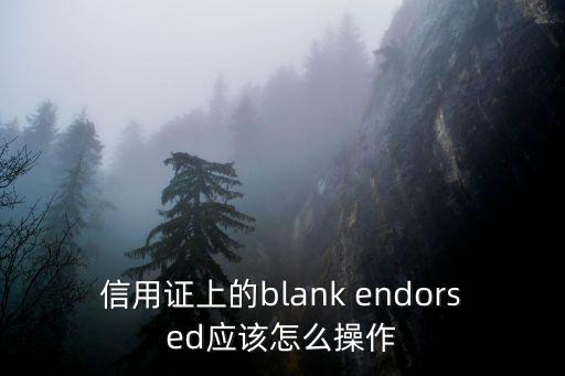 信用證上的blank endorsed應(yīng)該怎么操作
