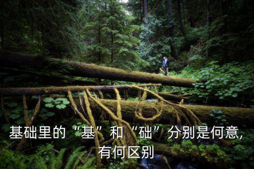 基礎里的“基”和“礎”分別是何意,有何區別