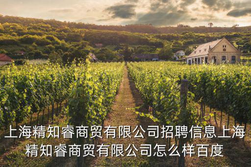 上海精知睿商貿(mào)有限公司招聘信息上海精知睿商貿(mào)有限公司怎么樣百度