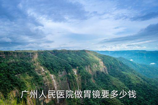 廣州人民醫院做胃鏡要多少錢