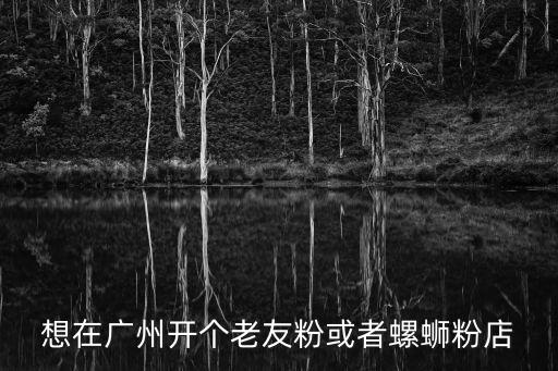想在廣州開個老友粉或者螺螄粉店