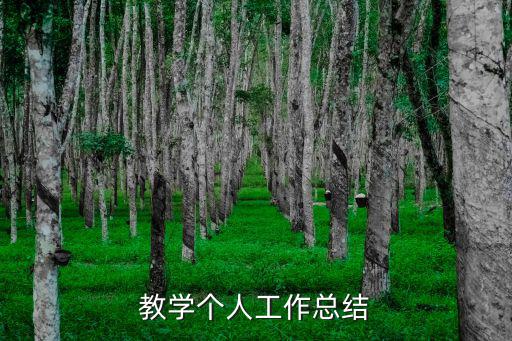 教學個人工作總結