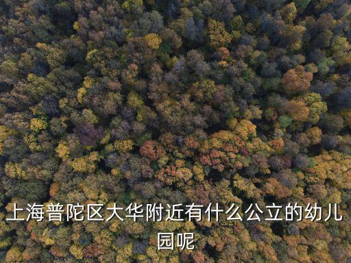 上海普陀區大華附近有什么公立的幼兒園呢