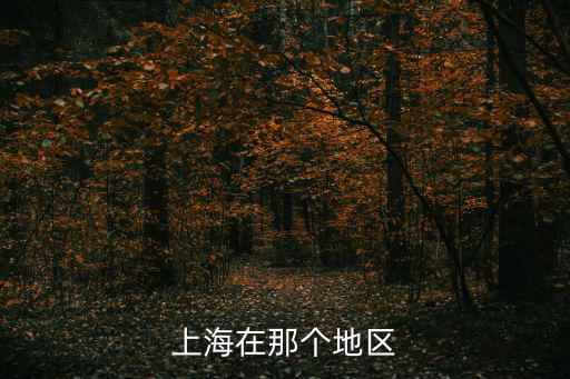 哪個地方屬于上海市管轄，上海屬于那個市