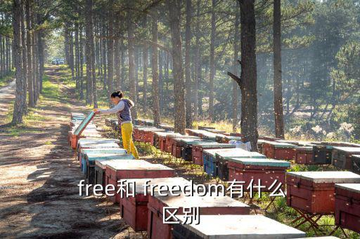  free和 freedom有什么區(qū)別