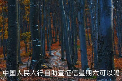 中國(guó)人民人行自助查征信星期六可以嗎