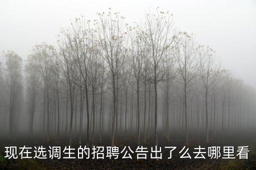 現(xiàn)在選調(diào)生的招聘公告出了么去哪里看