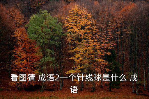 看圖猜 成語2一個針線球是什么 成語