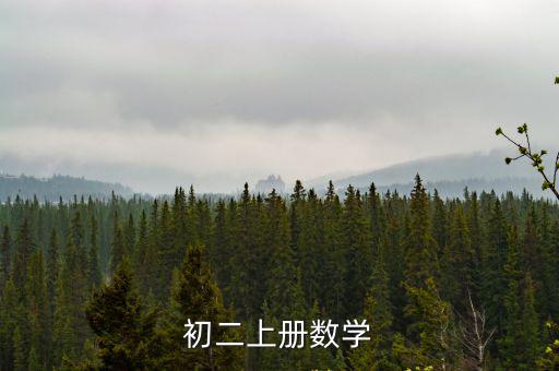 初二上學期數學，初2上冊數學題目