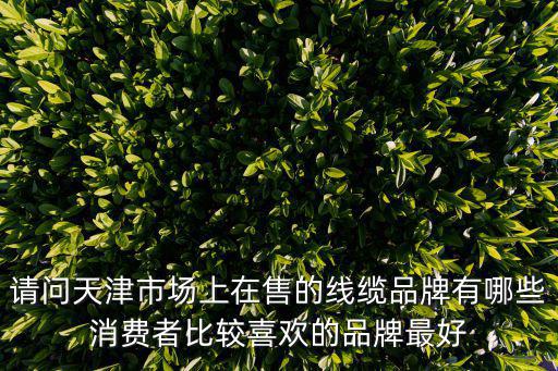 天津市陸達品牌，請問天津市場上在售的線纜品牌有哪些消費者比較喜歡的品牌最好
